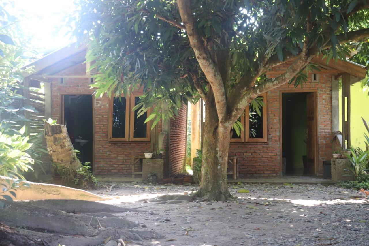 Jhony'S Backpacker-Guest House Only Stay Here Book Treking With Us Bukit Lawang Zewnętrze zdjęcie