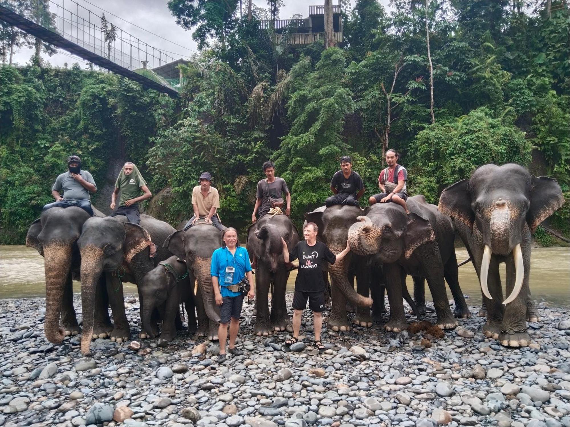Jhony'S Backpacker-Guest House Only Stay Here Book Treking With Us Bukit Lawang Zewnętrze zdjęcie